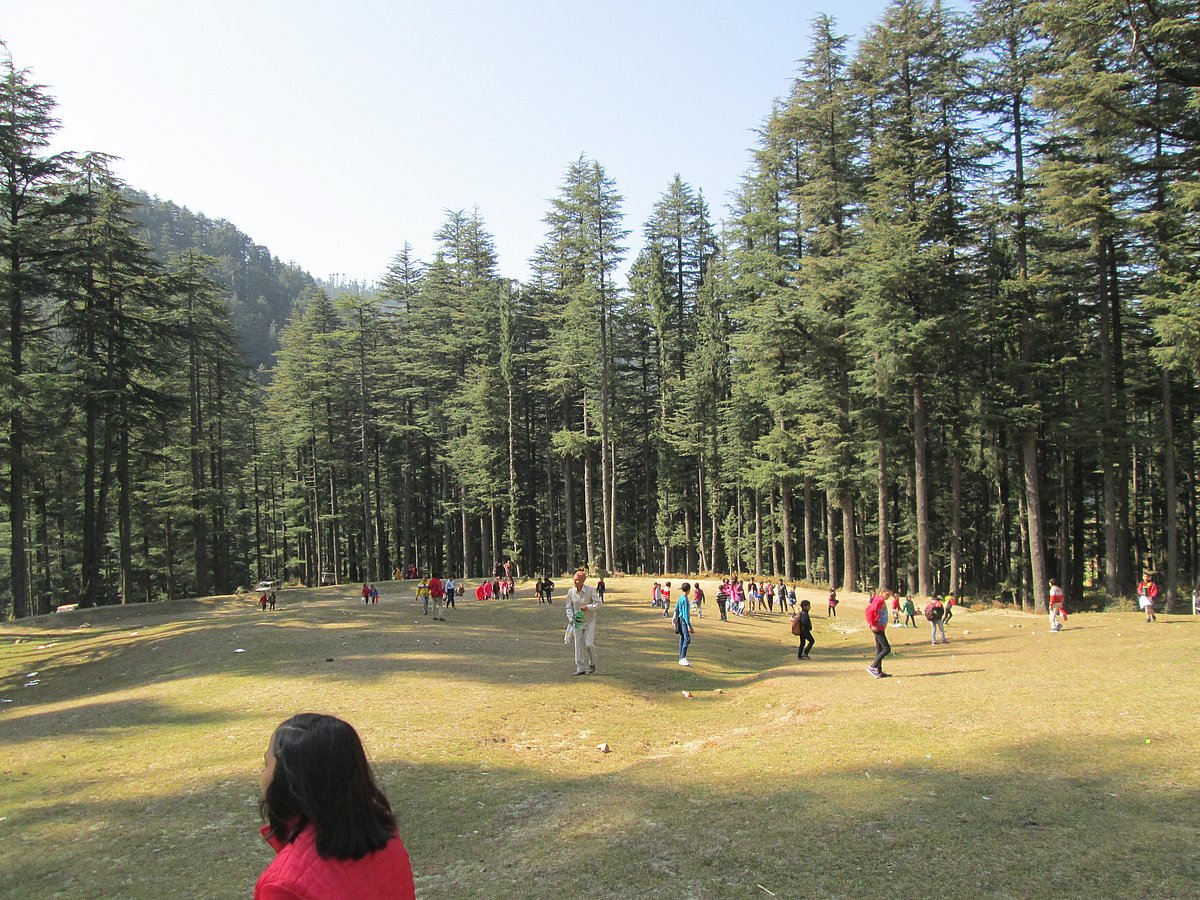 The sloping plain and forests of Devidarh